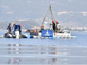 İzmir’den Tsunami Riskine Karşı "Modelleme" Kalkanı