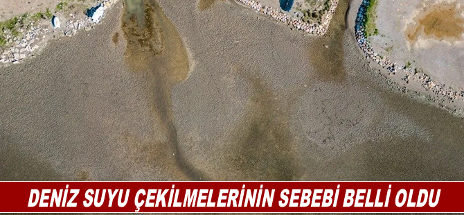 Deniz suyu çekilmelerinin sebebi belli oldu