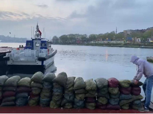 Deniz Polisinden Baskın: Yasadışı Midye avına geçit yok!