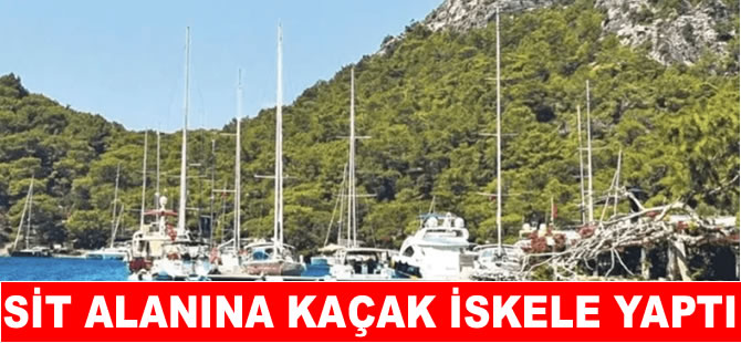 Sit alanına kaçak iskele! Sosyete doktoruna hapis isteniyor