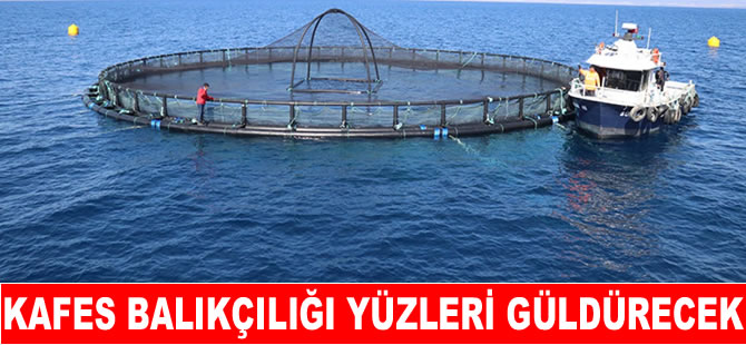 Adana'da kafes balıkçılığıyla üretim 10 kat artacak