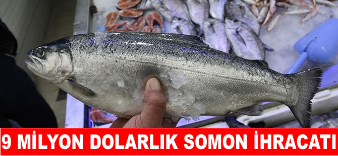 Doğu Karadeniz'den 7 ülkeye somon ihraç edildi
