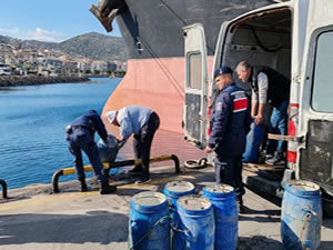 İzmir’de kaçak deniz patlıcanı operasyonu