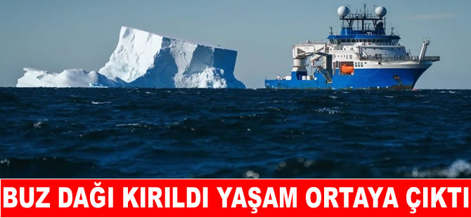 Antarktika’da buz dağı kırıldı, yaşam ortaya çıktı!