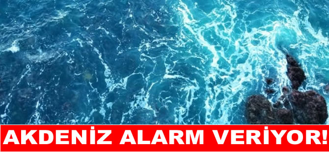 Deniz suyu sıcaklığı 54 yılda 1,3 derece arttı!