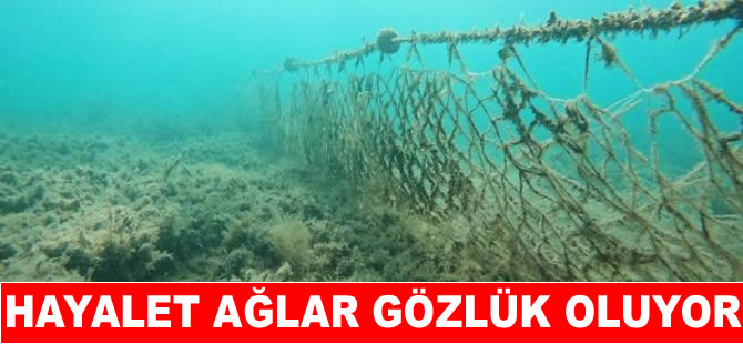 Hayalet ağlar güneş gözlüğüne dönüşüyor