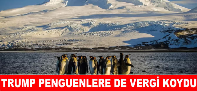Trump’un vergilerinden penguenler de nasibini aldı