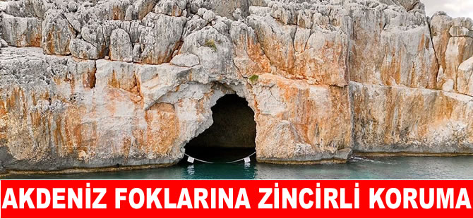 Antalya'da Akdeniz foklarına ''zincirli'' koruma
