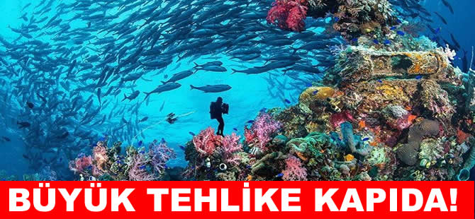 Herkesi etkileyecek büyük tehlike kapıda!