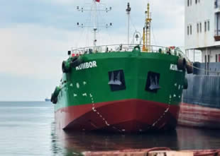 Asmira Group, Kumbor‘u filosuna ekledi