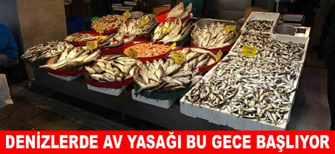 Denizlerde av yasağı başladı