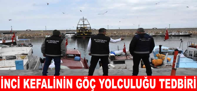 İnci kefalinin göç yolculuğu için sıkı tedbirler alındı