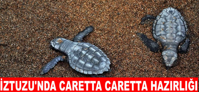 İztuzu Plajı'nda yuvalama sezonu heyecanı başladı