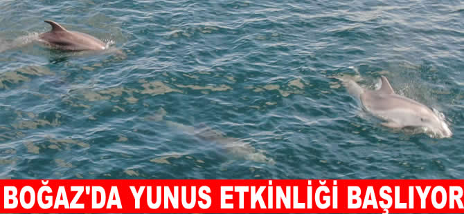 İstanbul'da Yunus Gözlem Etkinliği başlıyor