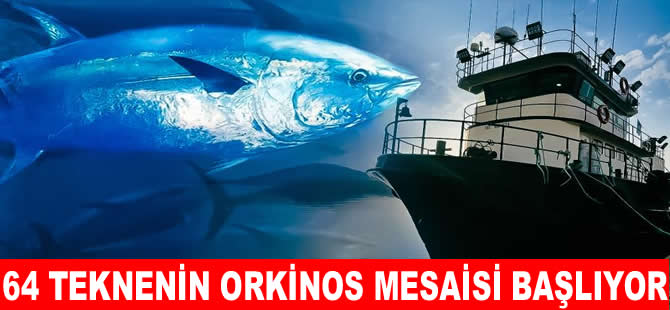 Akdeniz'de 64 Türk teknesi orkinos avcılığına katılacak