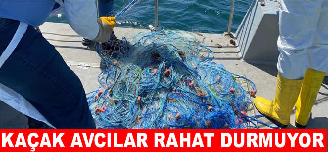 Ordu'da denizde 500 metre kalkan ağı ele geçirildi