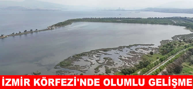 Körfezde umut verici gelişme: Amonyak seviyesi normalleşiyor