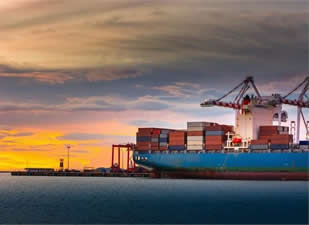 AD Ports Group’tan  Port Said'de lojistik üs