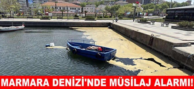 Marmara Denizi’nde müsilaj alarmı! Acil önlem şart!