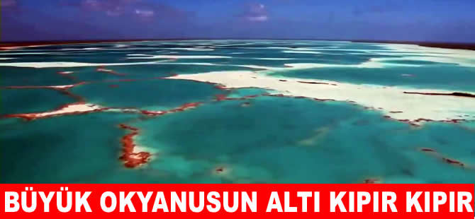 Pasifik Okyanusu altında büyük patlama riski