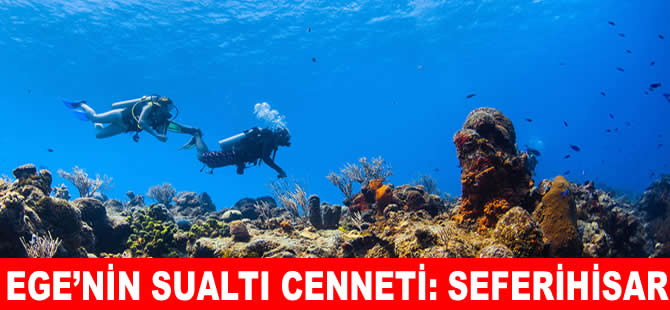 Sualtı cenneti Seferhisar dalış turizmiyle parlıyor