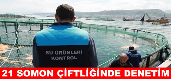 Karadeniz’de Türk Somonu kafeslerine denetim