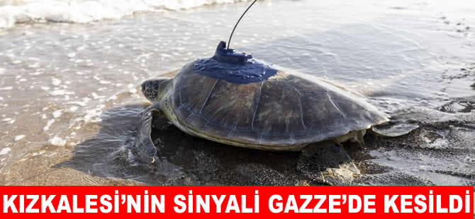 "Kızkalesi"nin sinyali Gazze'de kesildi