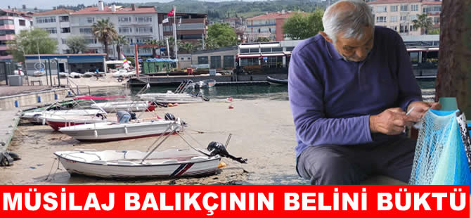 Müsilaj balıkçılara ağır darbe vurdu