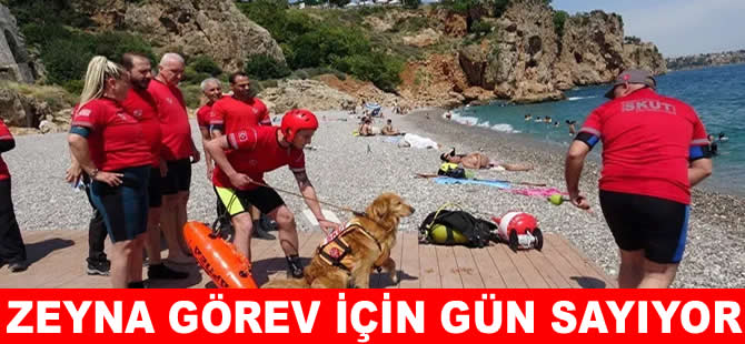 İlk sivil sualtı kurtarma köpeği Zeyna görev bekliyor