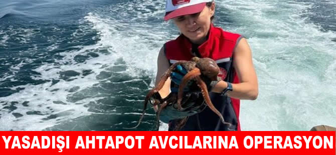 Çanakkale'de yasadışı ahtapot avcılarına operasyon