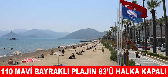 Muğla’nın 110 mavi bayraklı plajının 83’ü halka kapalı