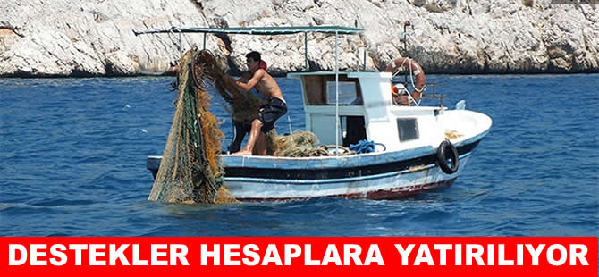 Balıkçılara destek ödemeleri ay sonunda hesaplarda olacak