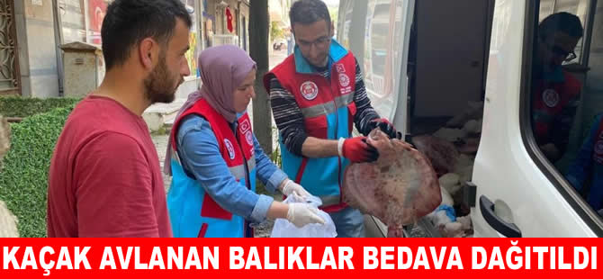 Kaçak avlanan  kalkanlar vatandaşlara ücrtsiz dağtıldı