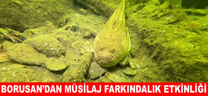 Borusan’dan Gemlik Körfezi'nde Müsilaj Farkındalık etkinliği