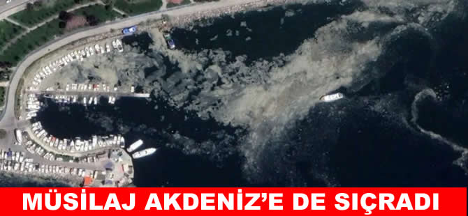 Kabus yayılıyor! Müsilaj Akdeniz'e de sıçradı