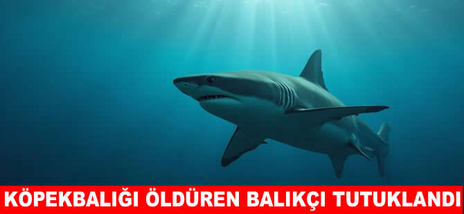 ABD’de köpekbalığını öldüren balıkçı tutuklandı