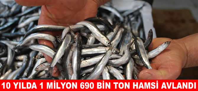 Son 10 yılda 1 milyon 689 bin 98 ton hamsi avlandı