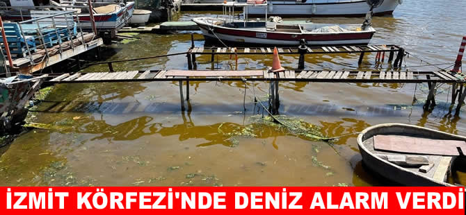 İzmit Körfezi’nde deniz kahverengiye döndü