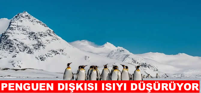 Penguen dışkısı Antarktika'nın ısısını düşürüyor