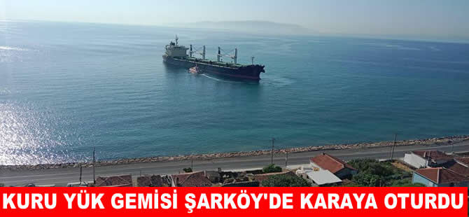 Tekirdağ açıklarında kuru yük gemisi karaya oturdu