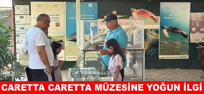 Deniz kaplumbağaları müzesi binlerce kişiyi ağırlıyor