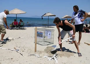 Kuşadası’nda caretta caretta yuvaları güvenli alana taşındı!