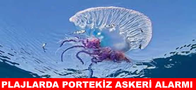 Portekiz askerleri Fransa plajlarını istila etti