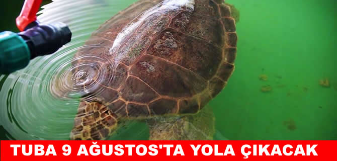 Tuba ikinci dünya turuna hazırlanıyor