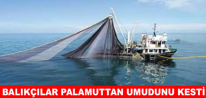 Balıkçılar palamuttan umudu kesti: Gözler hamside