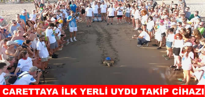 Belek ilk yerli uydu takip cihazı takılan caretta oldu