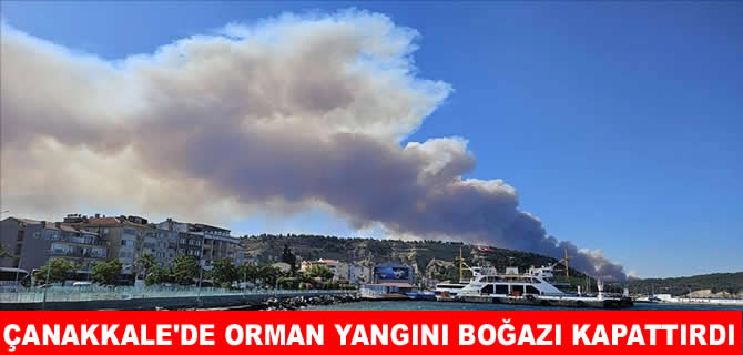 Çanakkale Boğazı yangın nedeniyle gemi tarafiğine kapatıldı