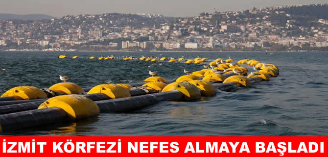 Körfez’de çamur temizlendi, deniz canlılarla şenlendi