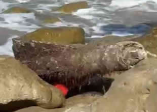 Şile'de sahile roket başlığı vurdu!