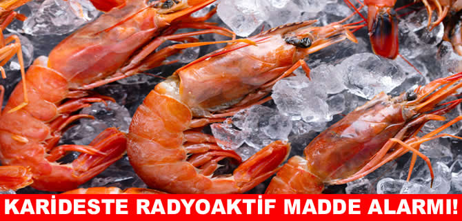 İthal karideste "radyoaktif madde" alarmı